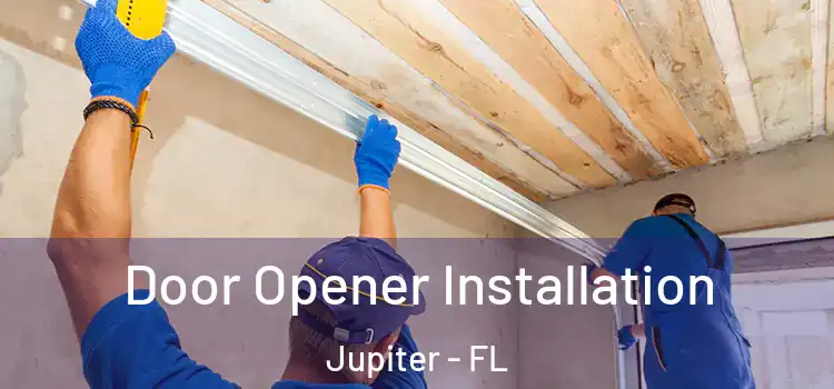 Door Opener Installation Jupiter - FL