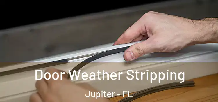 Door Weather Stripping Jupiter - FL