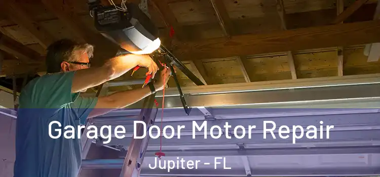  Garage Door Motor Repair Jupiter - FL