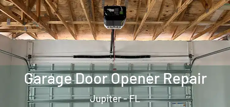  Garage Door Opener Repair Jupiter - FL