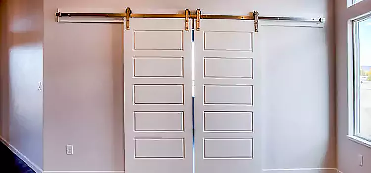 Glass Barn Door with Installation Hardware Kit Jupiter