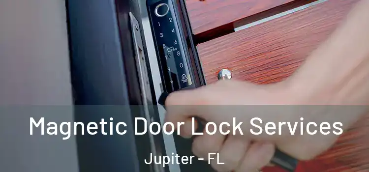  Magnetic Door Lock Services Jupiter - FL